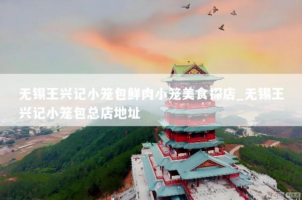 无锡王兴记小笼包鲜肉小笼美食探店_无锡王兴记小笼包总店地址