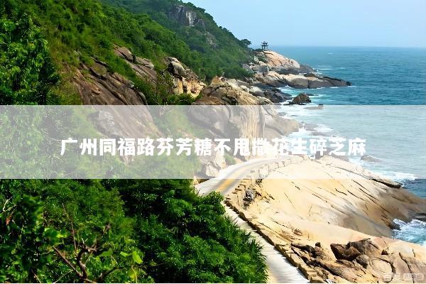 广州同福路芬芳糖不甩撒花生碎芝麻
