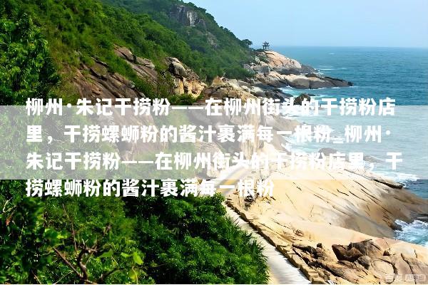 柳州·朱记干捞粉——在柳州街头的干捞粉店里，干捞螺蛳粉的酱汁裹满每一根粉_柳州·朱记干捞粉——在柳州街头的干捞粉店里，干捞螺蛳粉的酱汁裹满每一根粉