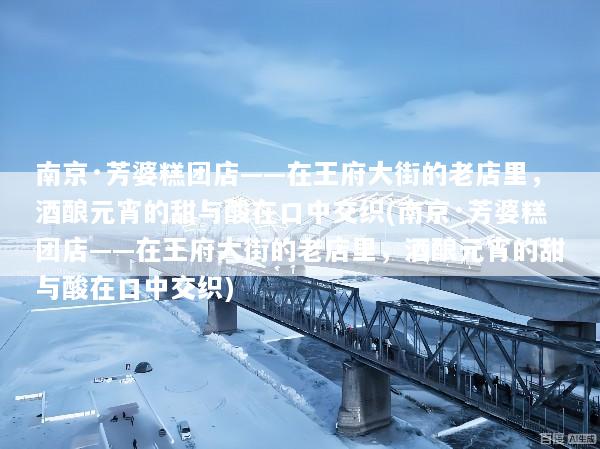 南京·芳婆糕团店——在王府大街的老店里，酒酿元宵的甜与酸在口中交织(南京·芳婆糕团店——在王府大街的老店里，酒酿元宵的甜与酸在口中交织)