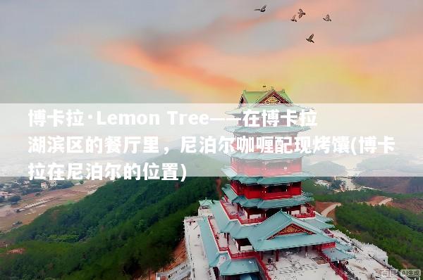 博卡拉·Lemon Tree——在博卡拉湖滨区的餐厅里，尼泊尔咖喱配现烤馕(博卡拉在尼泊尔的位置)