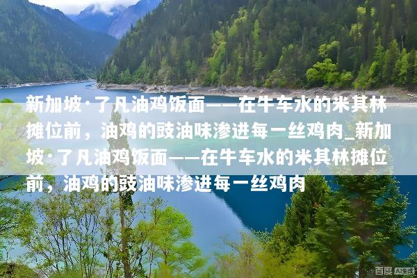 新加坡·了凡油鸡饭面——在牛车水的米其林摊位前，油鸡的豉油味渗进每一丝鸡肉_新加坡·了凡油鸡饭面——在牛车水的米其林摊位前，油鸡的豉油味渗进每一丝鸡肉