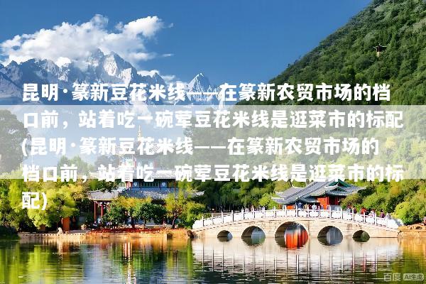 昆明·篆新豆花米线——在篆新农贸市场的档口前，站着吃一碗荤豆花米线是逛菜市的标配(昆明·篆新豆花米线——在篆新农贸市场的档口前，站着吃一碗荤豆花米线是逛菜市的标配)