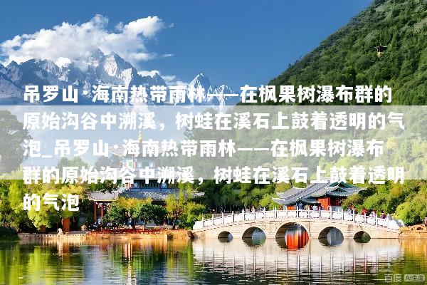 吊罗山·海南热带雨林——在枫果树瀑布群的原始沟谷中溯溪，树蛙在溪石上鼓着透明的气泡_吊罗山·海南热带雨林——在枫果树瀑布群的原始沟谷中溯溪，树蛙在溪石上鼓着透明的气泡