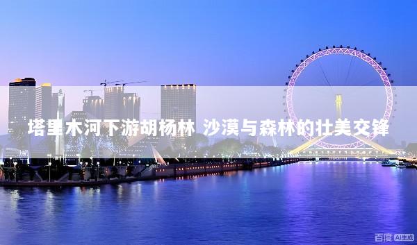 塔里木河下游胡杨林 沙漠与森林的壮美交锋