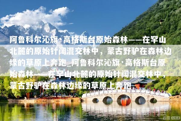 阿鲁科尔沁旗·高格斯台原始森林——在罕山北麓的原始针阔混交林中，蒙古野驴在森林边缘的草原上奔跑_阿鲁科尔沁旗·高格斯台原始森林——在罕山北麓的原始针阔混交林中，蒙古野驴在森林边缘的草原上奔跑