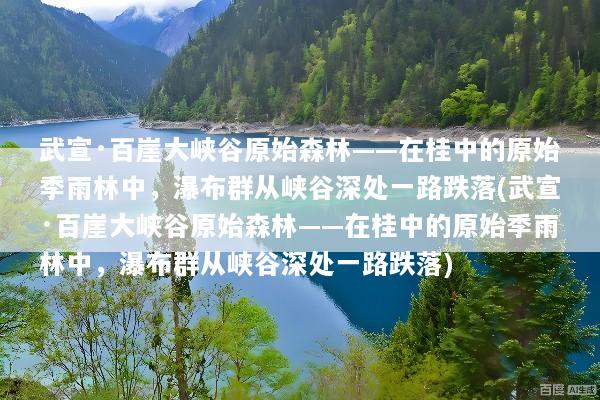 武宣·百崖大峡谷原始森林——在桂中的原始季雨林中，瀑布群从峡谷深处一路跌落(武宣·百崖大峡谷原始森林——在桂中的原始季雨林中，瀑布群从峡谷深处一路跌落)