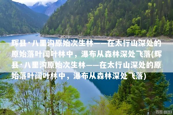 辉县·八里沟原始次生林——在太行山深处的原始落叶阔叶林中，瀑布从森林深处飞落(辉县·八里沟原始次生林——在太行山深处的原始落叶阔叶林中，瀑布从森林深处飞落)