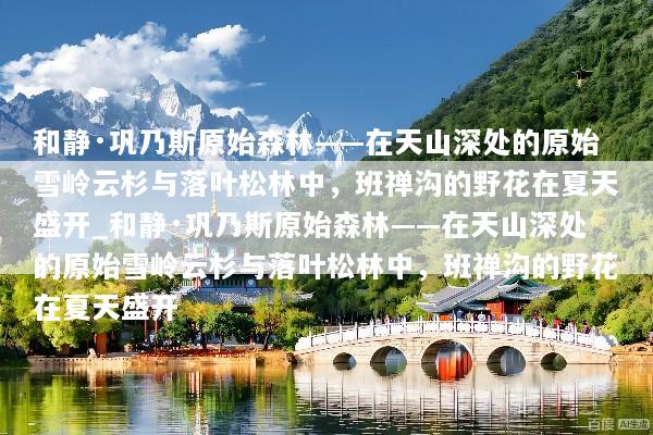 和静·巩乃斯原始森林——在天山深处的原始雪岭云杉与落叶松林中，班禅沟的野花在夏天盛开_和静·巩乃斯原始森林——在天山深处的原始雪岭云杉与落叶松林中，班禅沟的野花在夏天盛开