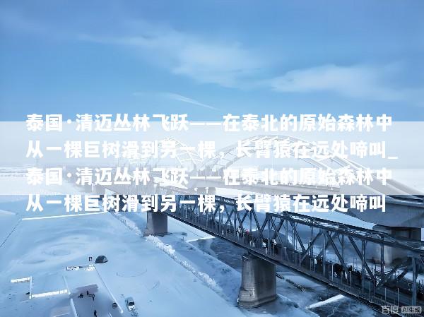 泰国·清迈丛林飞跃——在泰北的原始森林中从一棵巨树滑到另一棵，长臂猿在远处啼叫_泰国·清迈丛林飞跃——在泰北的原始森林中从一棵巨树滑到另一棵，长臂猿在远处啼叫