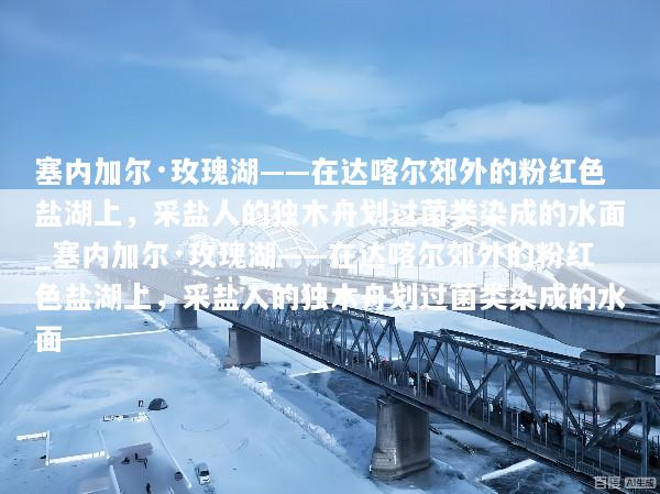 塞内加尔·玫瑰湖——在达喀尔郊外的粉红色盐湖上，采盐人的独木舟划过菌类染成的水面_塞内加尔·玫瑰湖——在达喀尔郊外的粉红色盐湖上，采盐人的独木舟划过菌类染成的水面