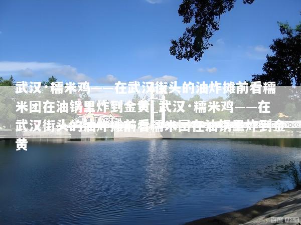 武汉·糯米鸡——在武汉街头的油炸摊前看糯米团在油锅里炸到金黄_武汉·糯米鸡——在武汉街头的油炸摊前看糯米团在油锅里炸到金黄