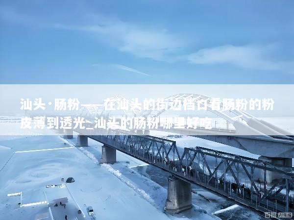 汕头·肠粉——在汕头的街边档口看肠粉的粉皮薄到透光_汕头的肠粉哪里好吃