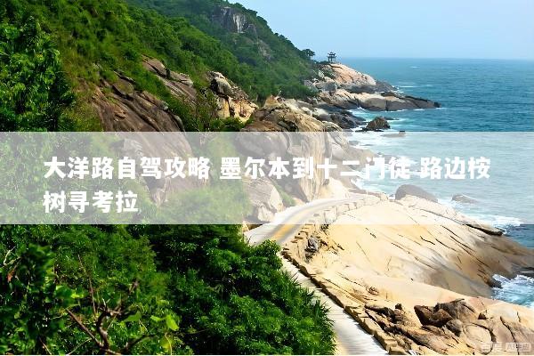 大洋路自驾攻略 墨尔本到十二门徒 路边桉树寻考拉