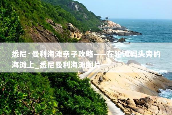 悉尼·曼利海滩亲子攻略——在轮渡码头旁的海滩上_悉尼曼利海滩图片