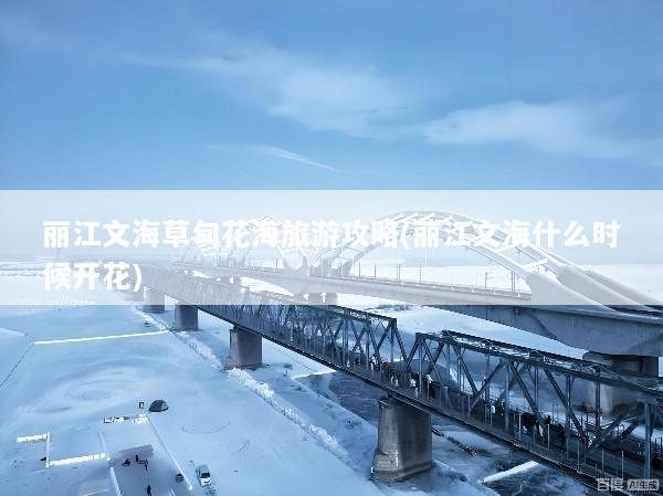丽江文海草甸花海旅游攻略(丽江文海什么时候开花)